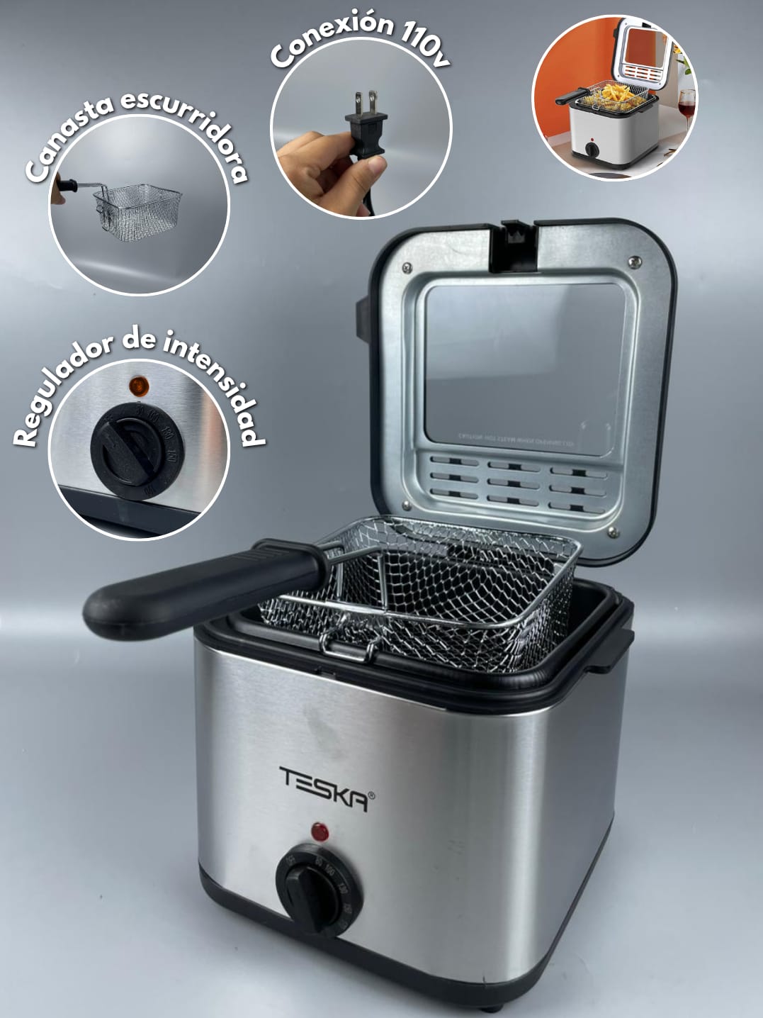 Freidora teska deep fryer 2.5l